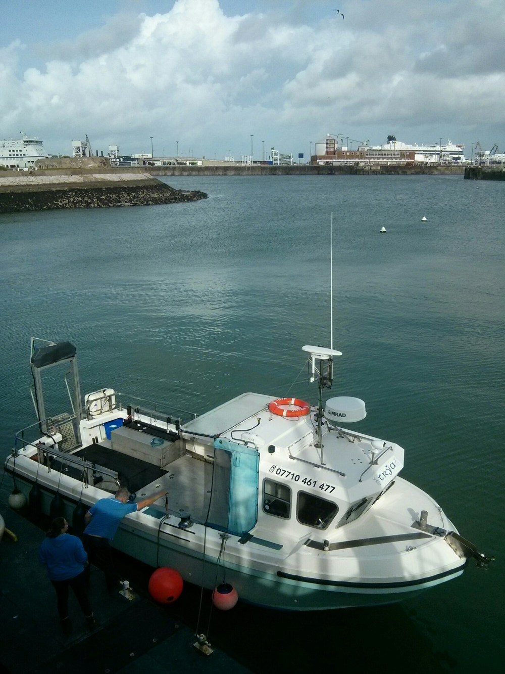 IMG_20141016_140536.jpg image